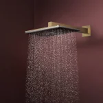 Верхний душ Hansgrohe Raindance Alive Q 340/210 1jet, Brushed Bronze (24530140) - Фото 2