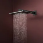 Верхний душ Hansgrohe Raindance Alive Q 340/210 1jet, Matt Black (24530670) - Фото 2