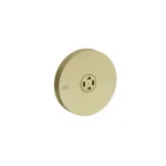 Форсунка Gessi Inciso бокова, з розпилювачем, Bruched Brass PVD (32977727) - Фото 1