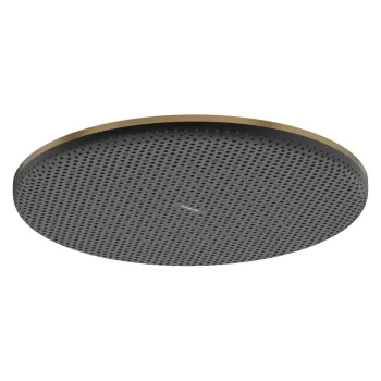 Верхний душ Hansgrohe Raindance Alive S 300 1jet EcoSmart,… - Фото №1