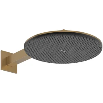 Верхний душ Hansgrohe Raindance Alive S 300 2jet с… - Фото №1