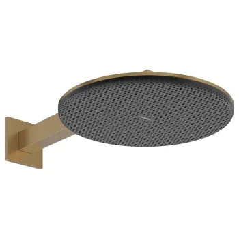 Верхний душ Hansgrohe Raindance Alive S 300 2jet EcoSmart… - Фото №1