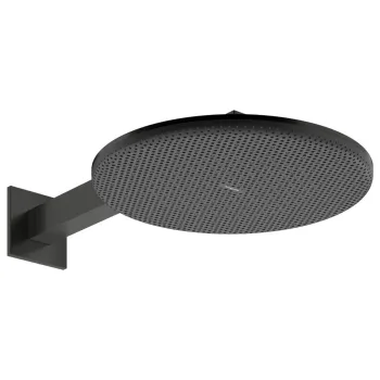 Верхний душ Hansgrohe Raindance Alive S 300 2jet EcoSmart… - Фото №1