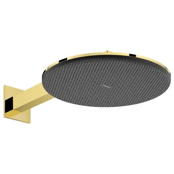 Верхний душ Hansgrohe Raindance Alive S 300 2jet EcoSmart… - Фото №1